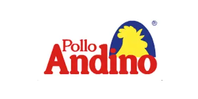 3_pollo_andino